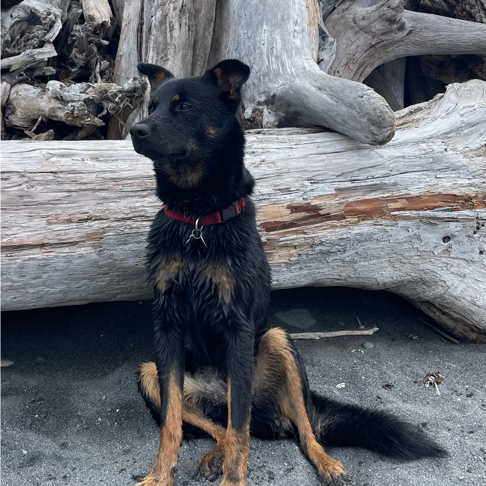 Meet your Posher, Libby